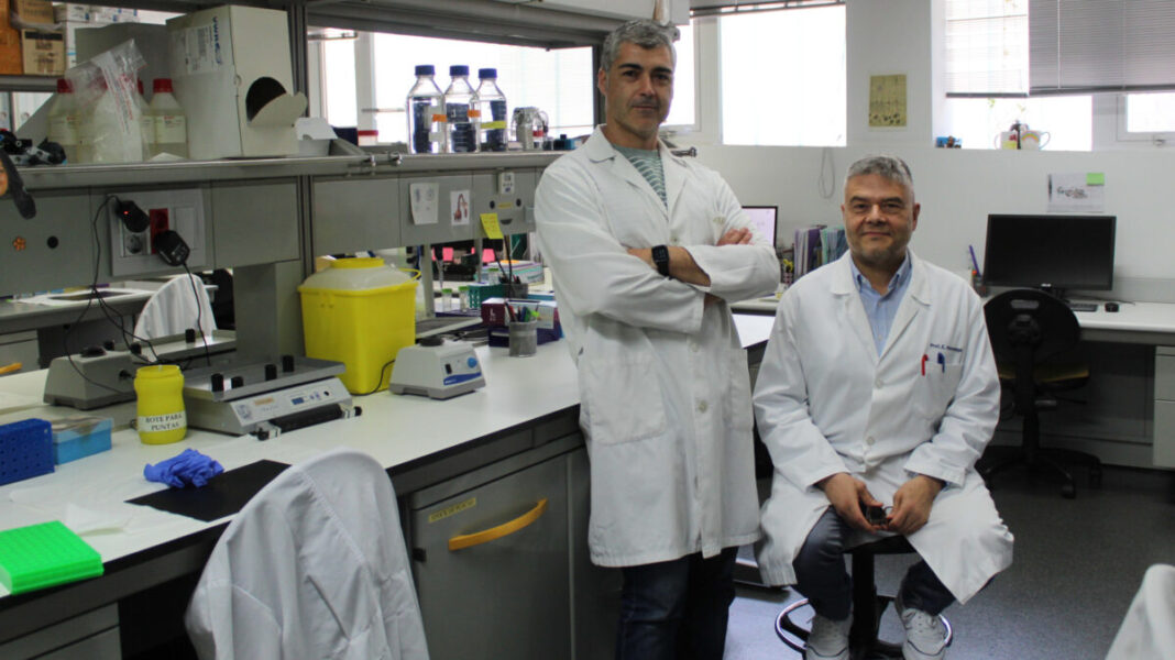 Investigadores del IBSAL logran frenar la pérdida de neuronas en un modelo experimental de enfermedad neurodegenerativa
